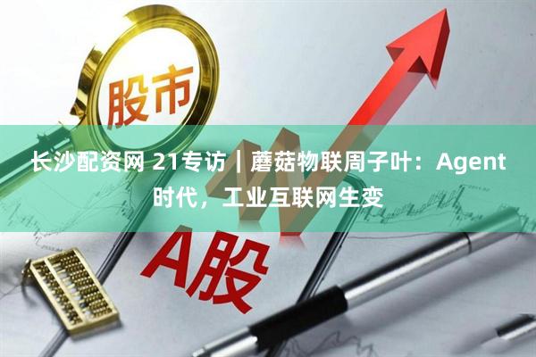 长沙配资网 21专访｜蘑菇物联周子叶：Agent时代，工业互联网生变