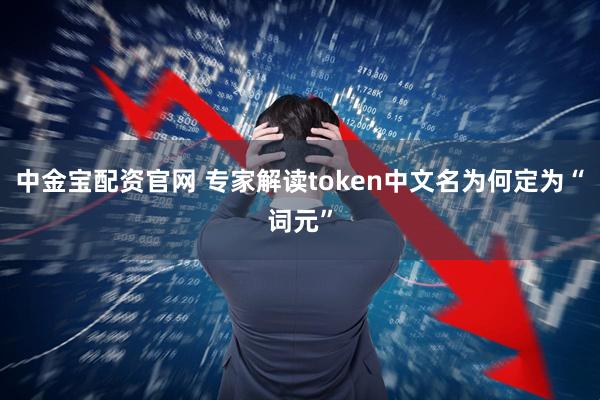 中金宝配资官网 专家解读token中文名为何定为“词元”