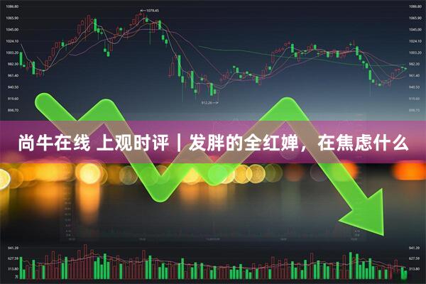 尚牛在线 上观时评｜发胖的全红婵，在焦虑什么