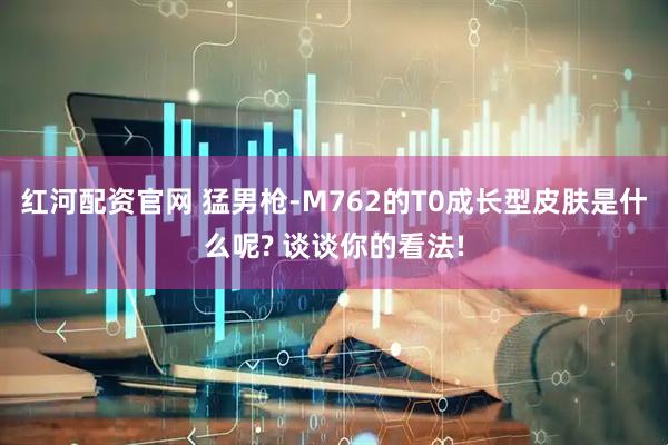 红河配资官网 猛男枪-M762的T0成长型皮肤是什么呢? 谈谈你的看法!