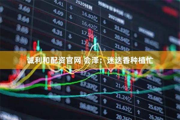 诚利和配资官网 会泽：迷迭香种植忙