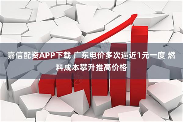 嘉信配资APP下载 广东电价多次逼近1元一度 燃料成本攀升推高价格