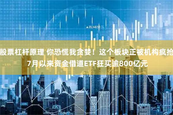 股票杠杆原理 你恐慌我贪婪！这个板块正被机构疯抢 7月以来资金借道ETF狂买逾800亿元
